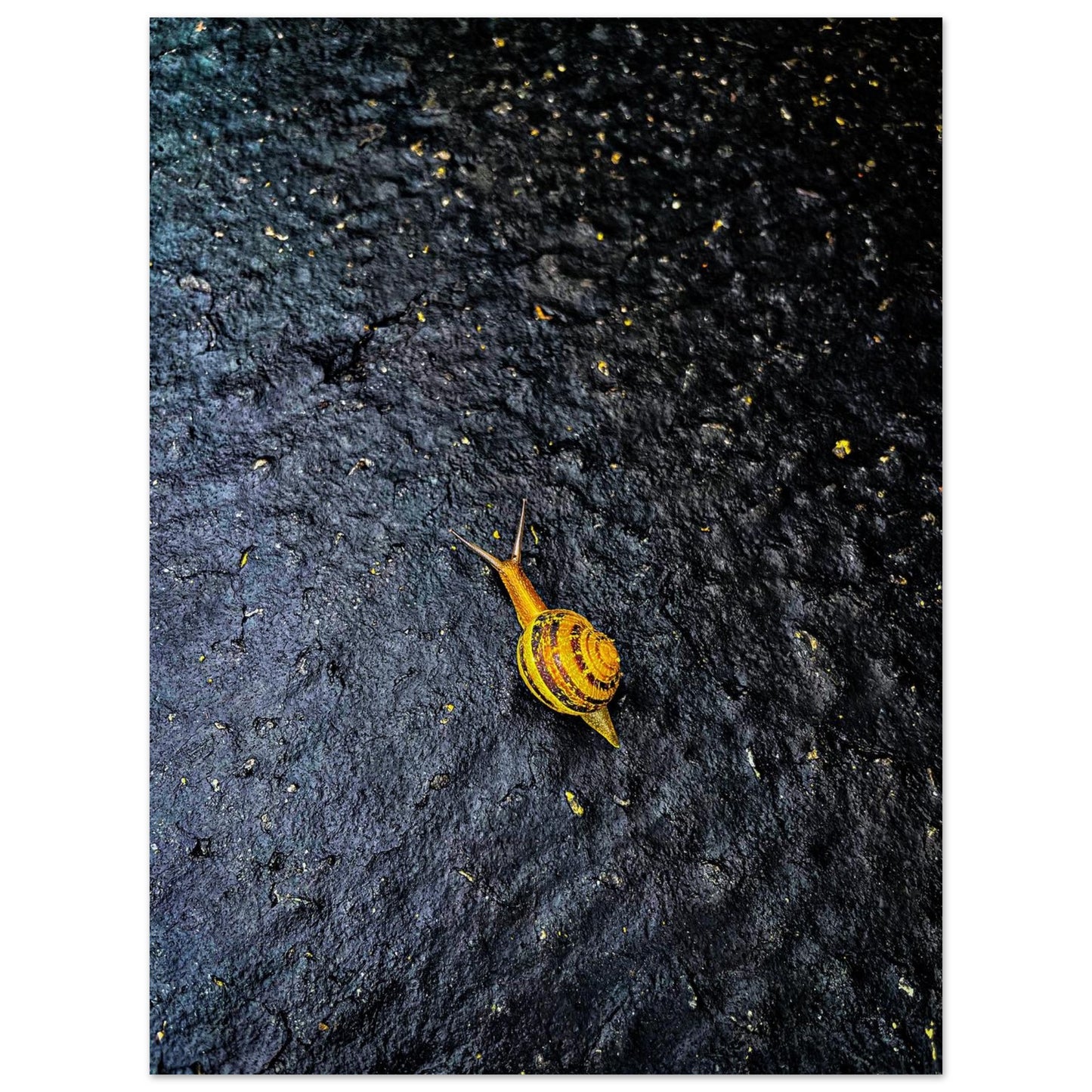 d413d0f9-31ca-4be5-8275-e04894b90cce