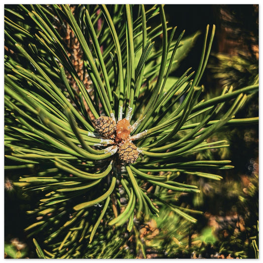 d47d26ed-8431-4bc9-bca4-6e89ad2ac979