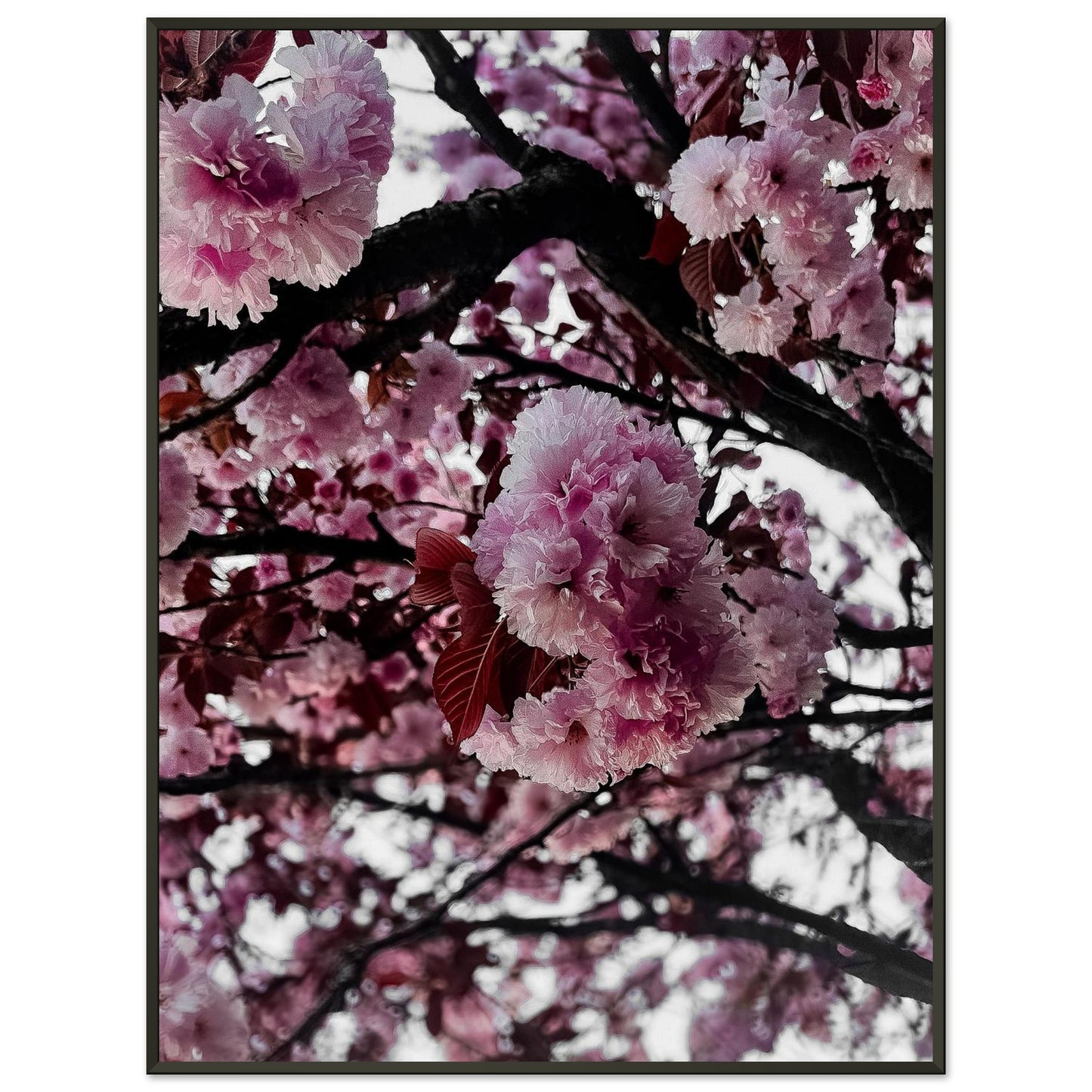 d4bee6c1-cf52-4d21-94ae-8d1d6b0461e5