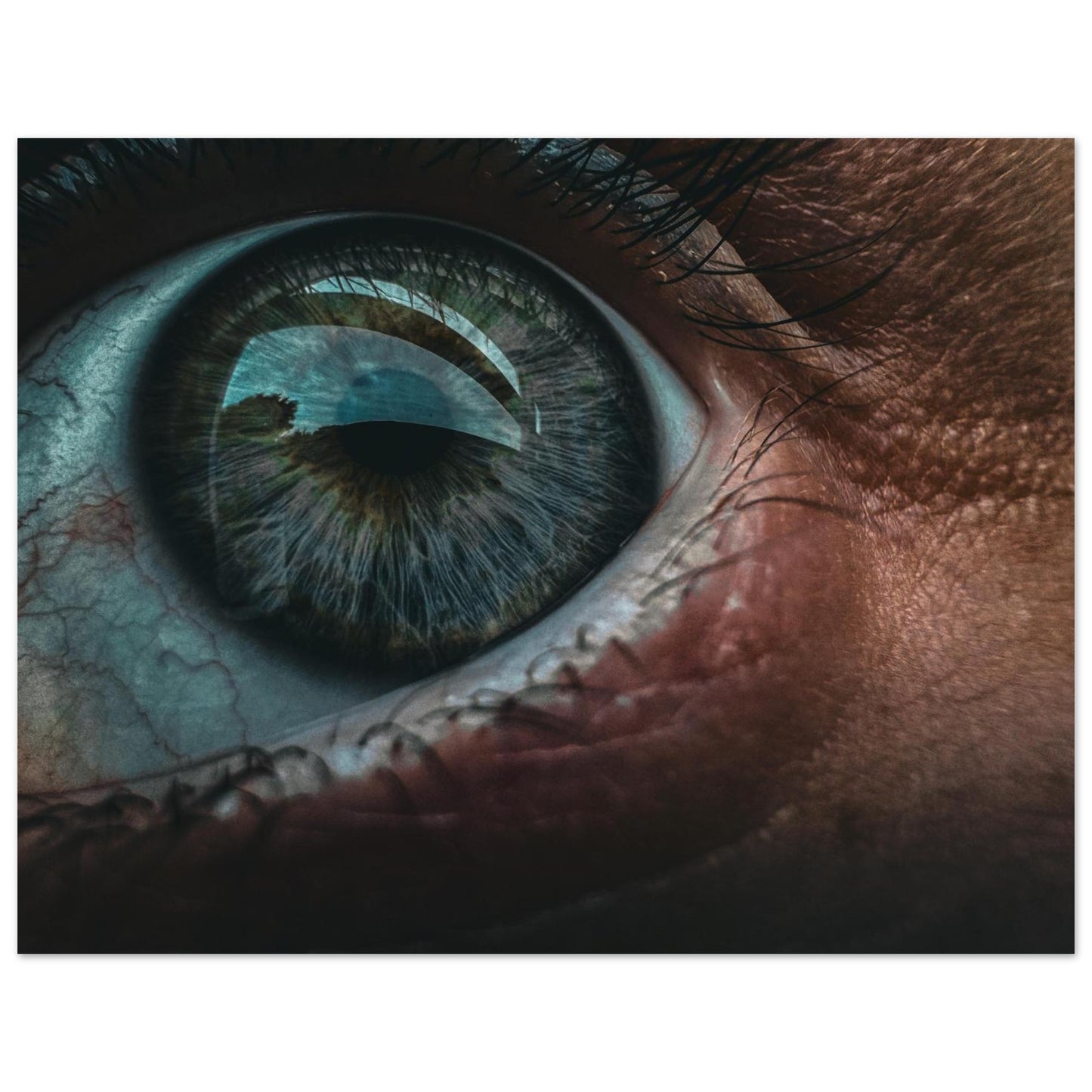 d542e234-d07a-468f-a28a-5a080a85190c