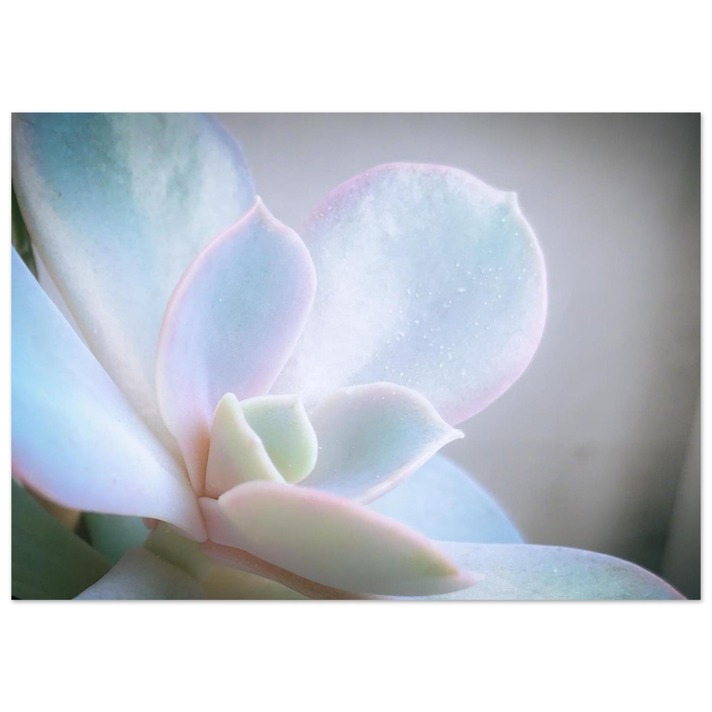 d5d10ded-f1bd-4f9e-80ed-6a7fde73cab8