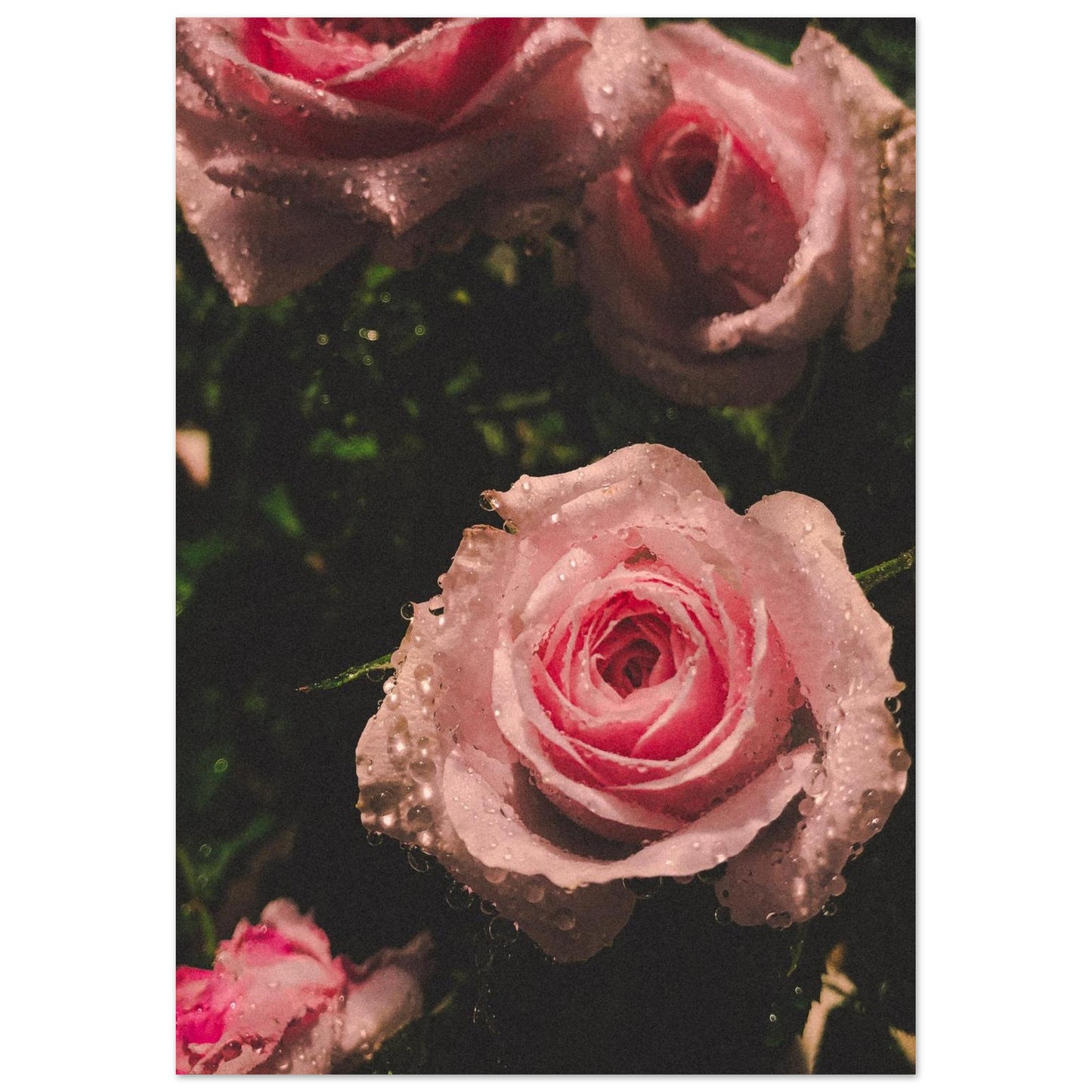 d6a525cc-12a8-422a-a710-363223ad9c25