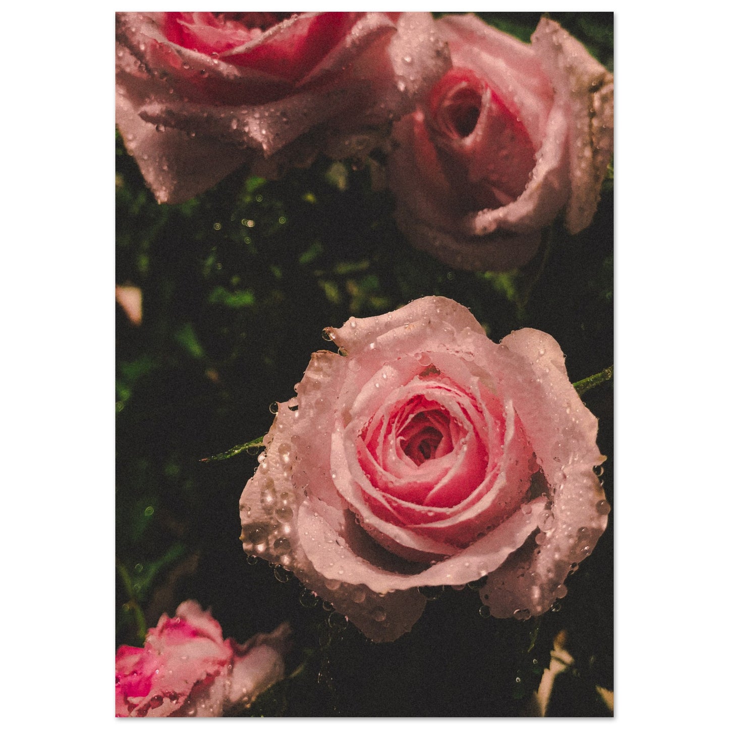 d9dfe510-c7e7-48b4-bfd9-b3b44355a7c6