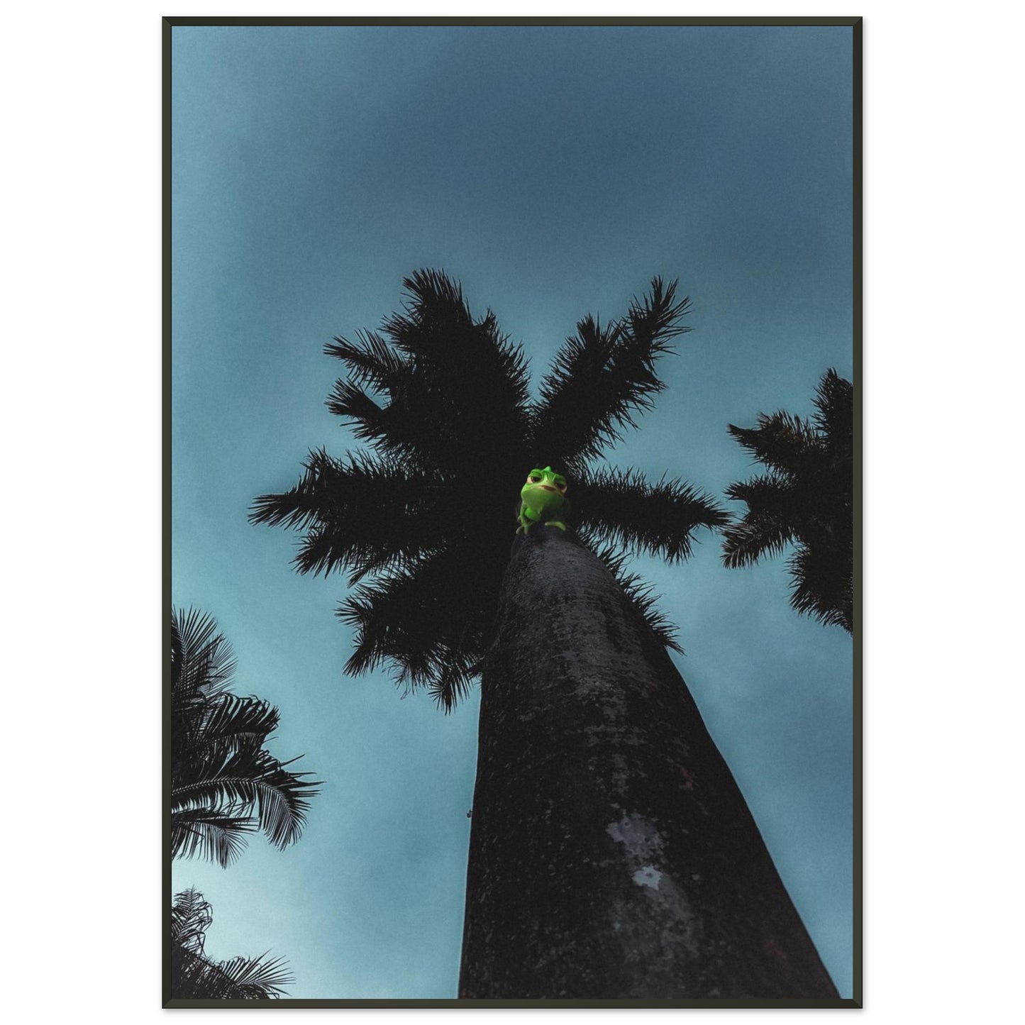 d9e2e42b-5105-45d8-9581-07af1d9685cd