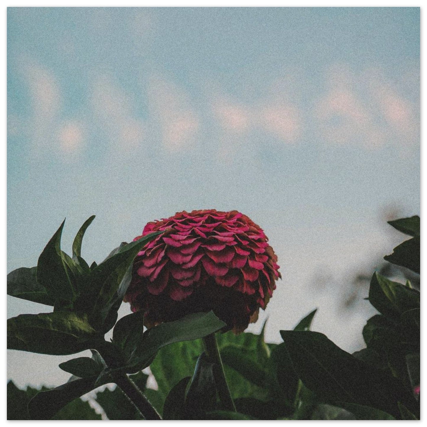 da82aa1c-f4f2-43a5-819a-0097e8056cbb