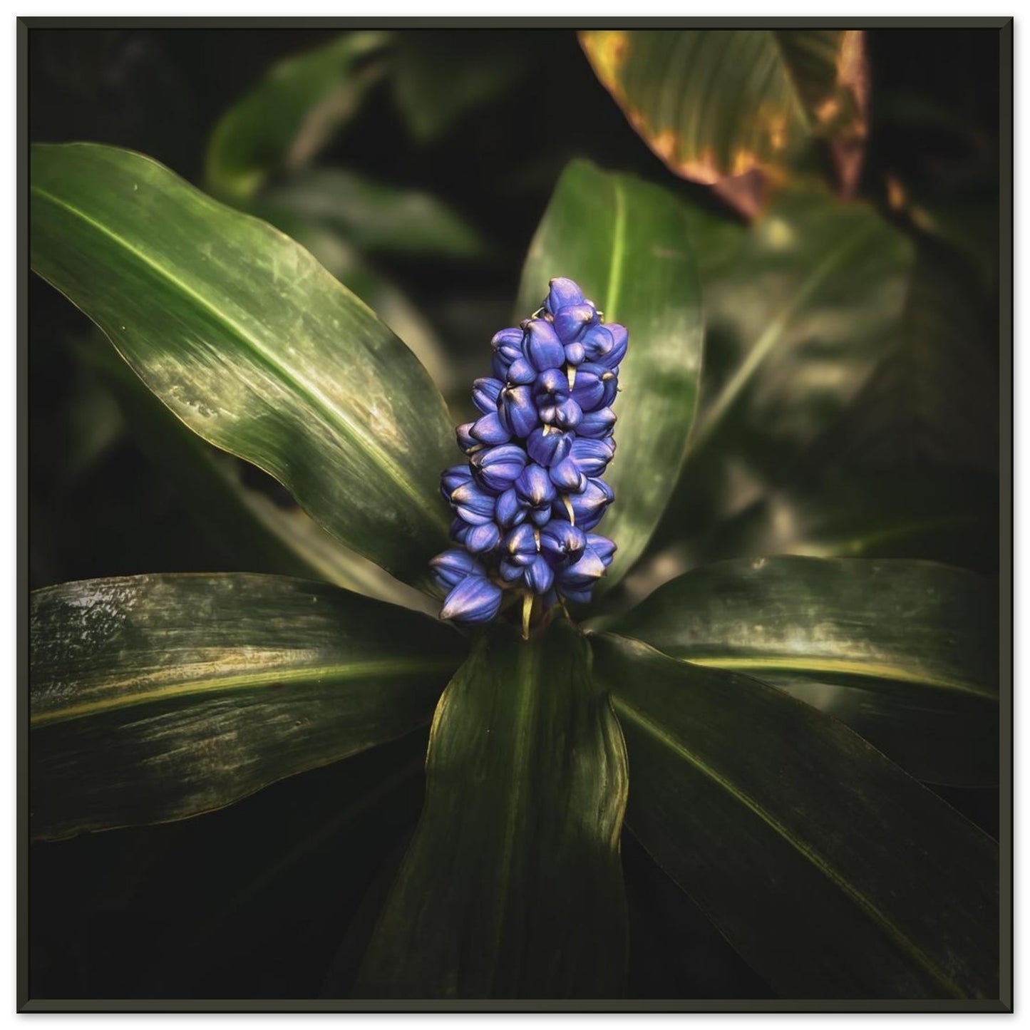 da936b4a-f6c3-46cb-ac42-30a31f63e3e1