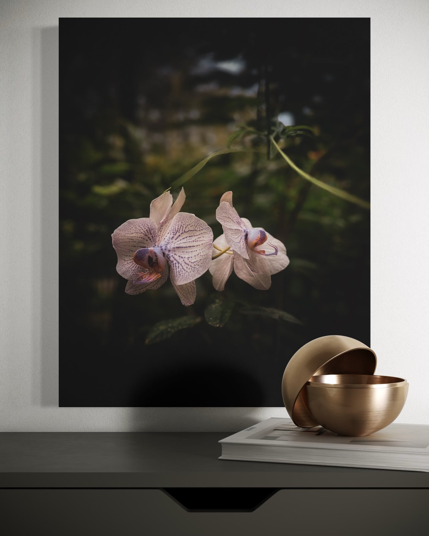 db1abb8e-164b-4071-be09-8f19ab800540