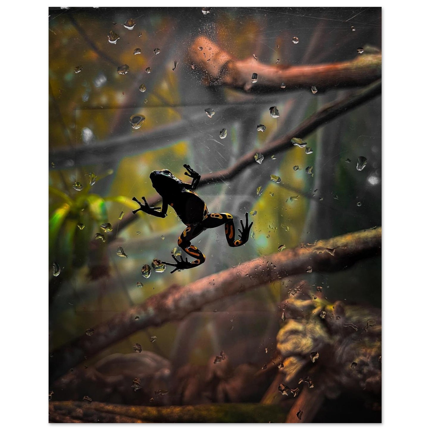 dba82d7a-f5c2-4569-a0c4-7febded43f49