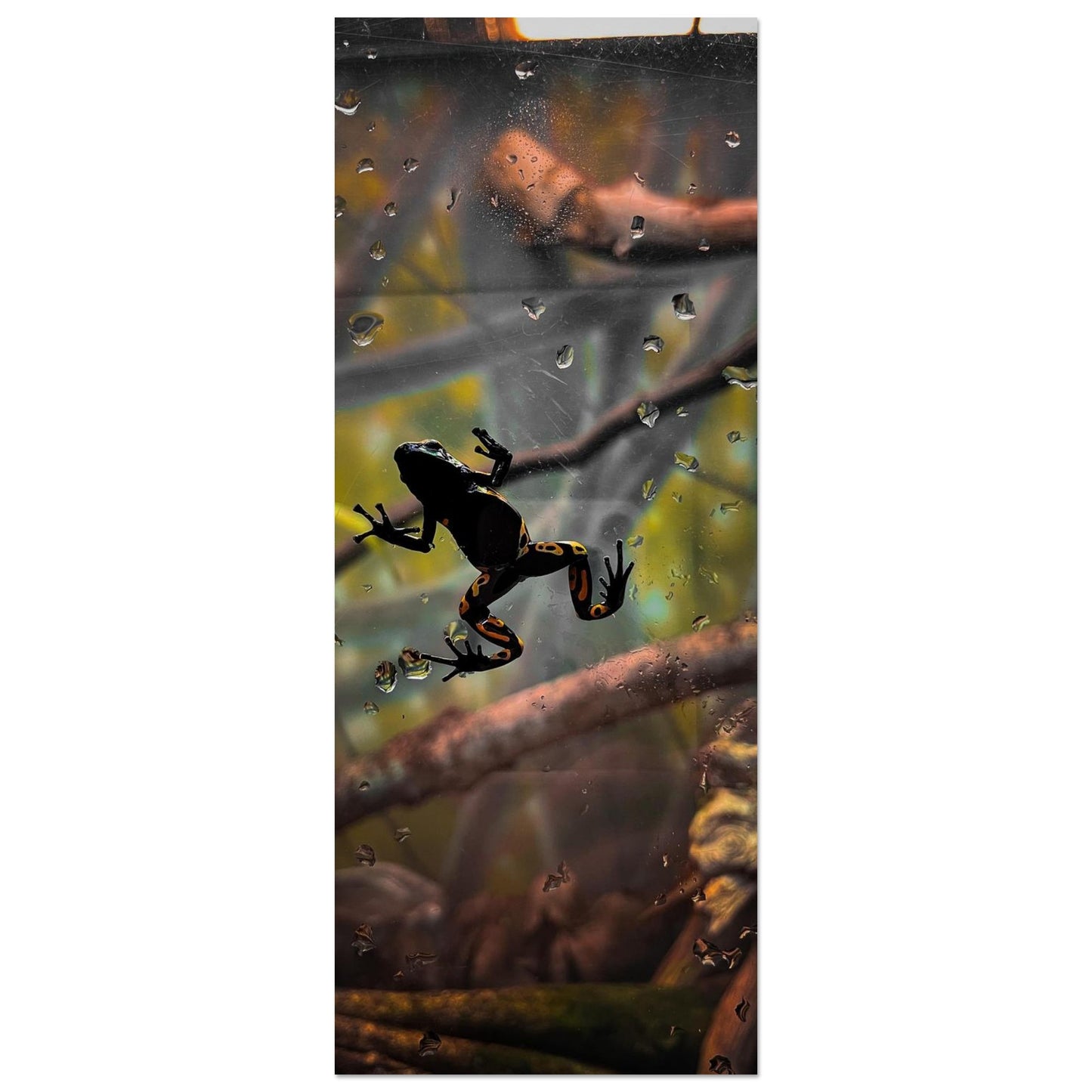 dc53d0c6-9593-49d9-94f7-256b29c7e96d