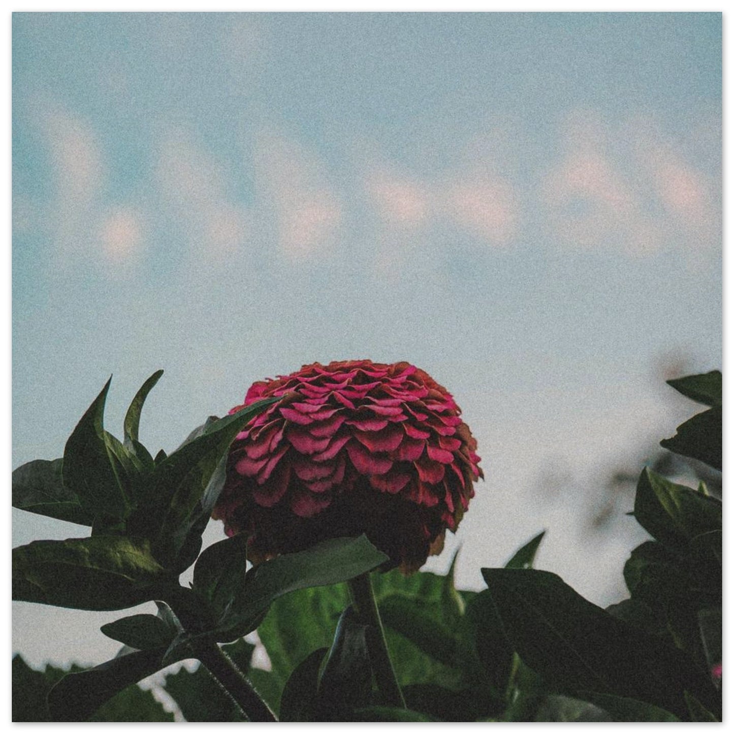 dd39c26e-b643-4031-bafd-cd4e78058260