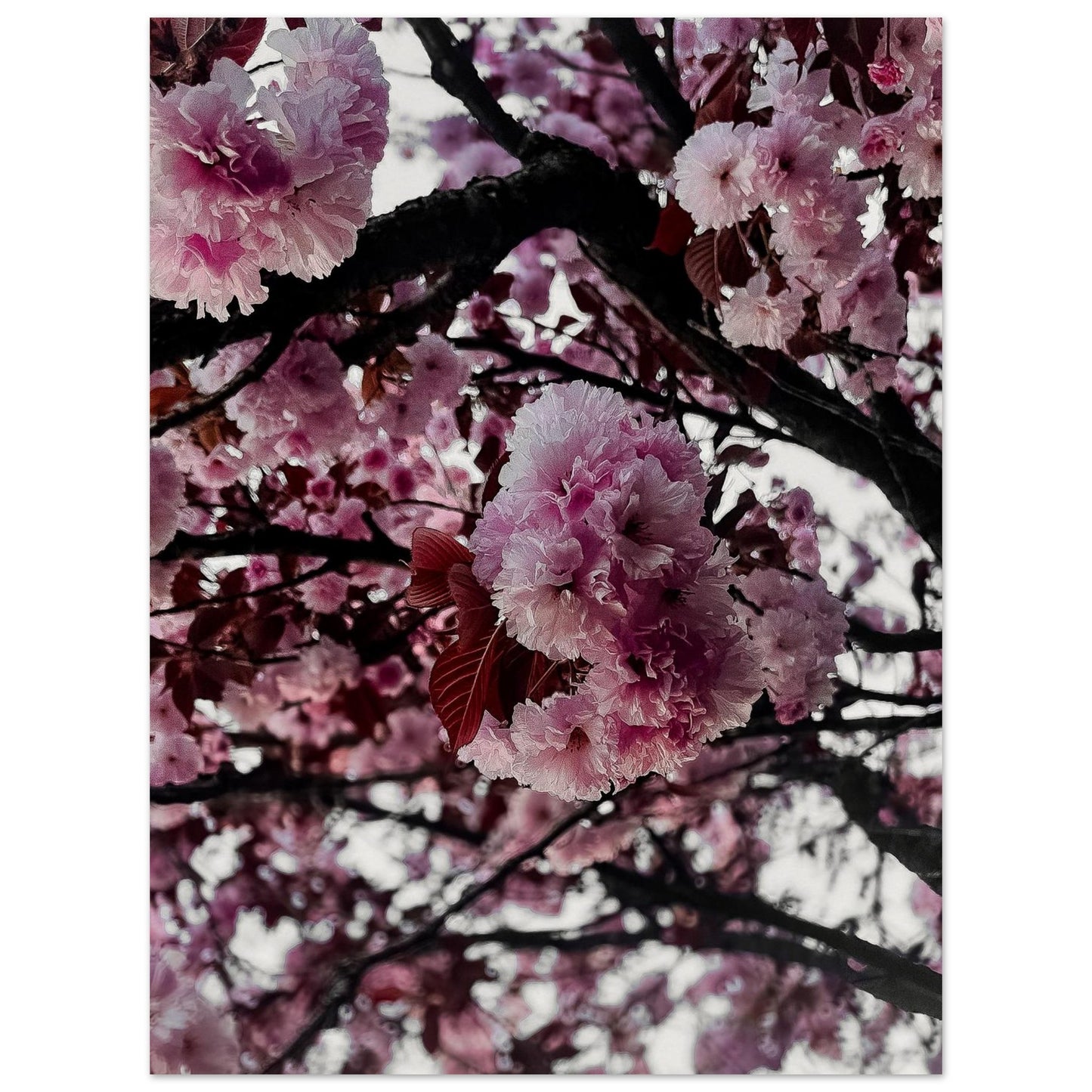 de0e9d79-0f6a-4c5e-b12e-e9a384091984