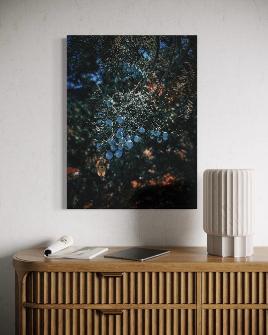 de570dff-3a6f-4b72-b9c1-41339dd9677d