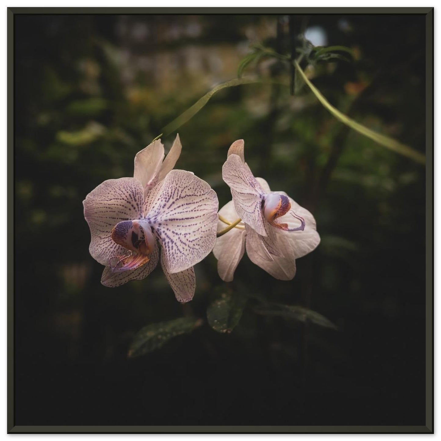 dee8d052-4e72-4d32-8070-287a887499d2