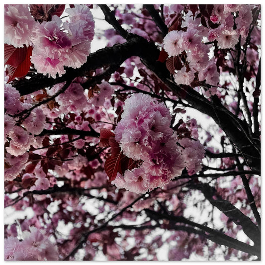 e0595461-e1eb-4210-baac-560d3a222bb6