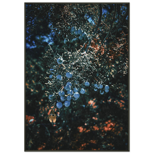 e079bc63-b8e2-4237-93af-9a16fb43b02d