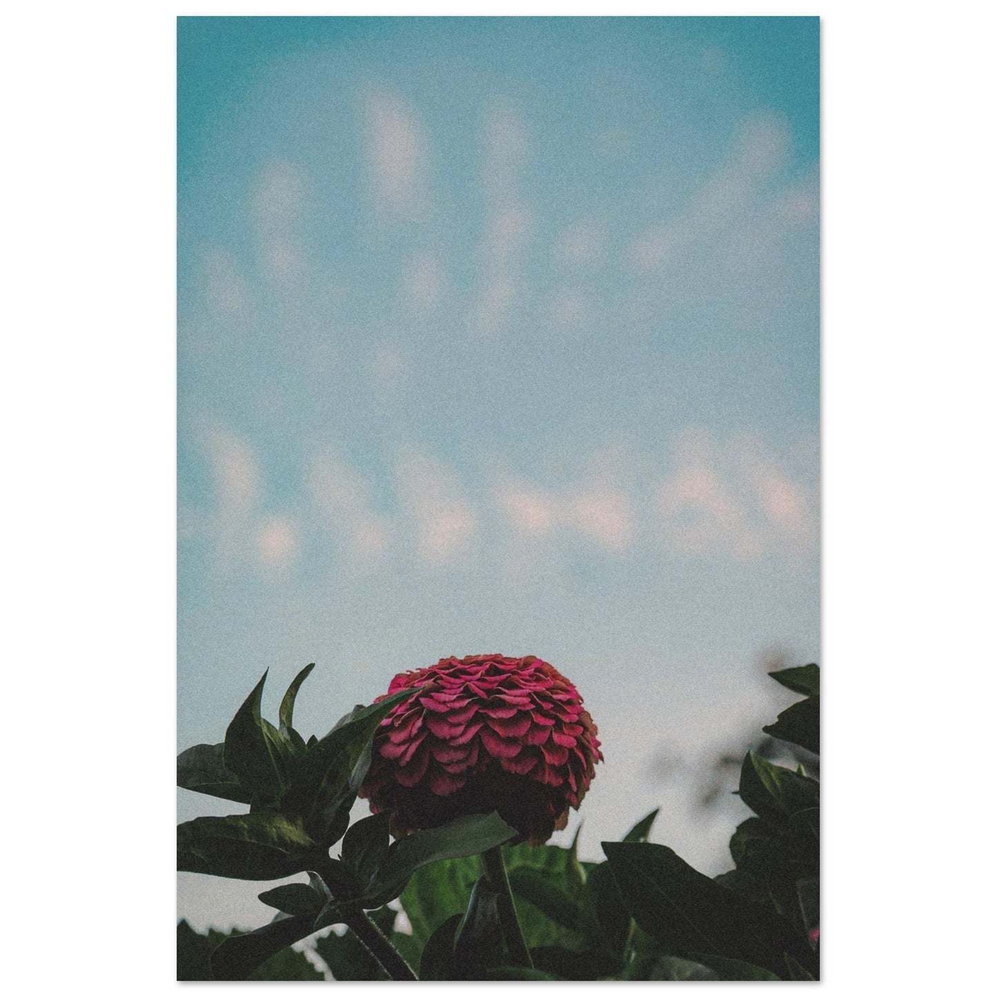 e1e87ff3-c2cd-4464-9c39-203e017dd6e8