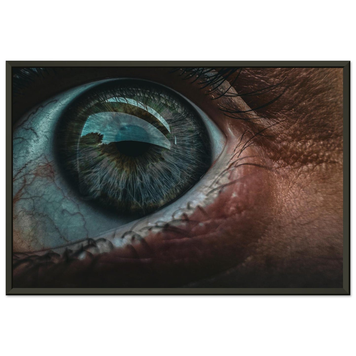 e27479fc-0bca-4a53-bd6f-fbeb77d26a84