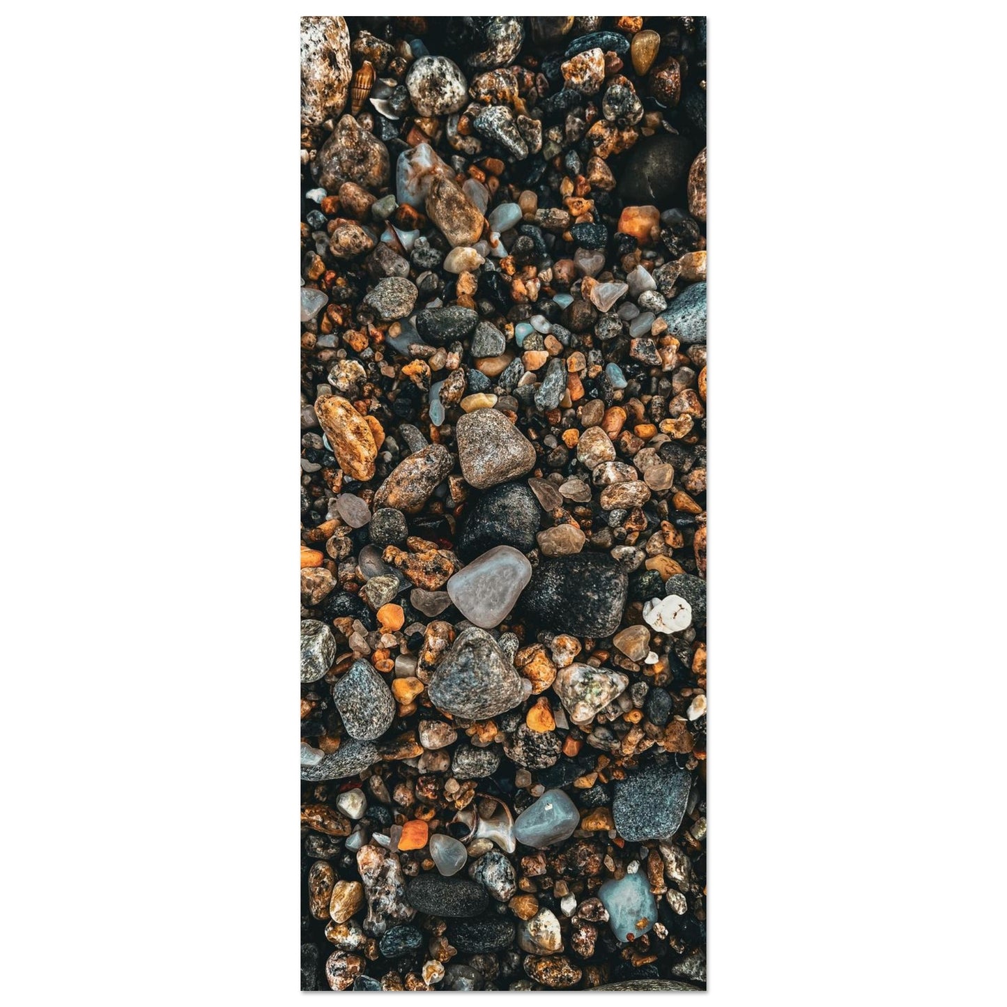 e35bd4ff-a52d-42b3-be79-0c0e48d3f1e7