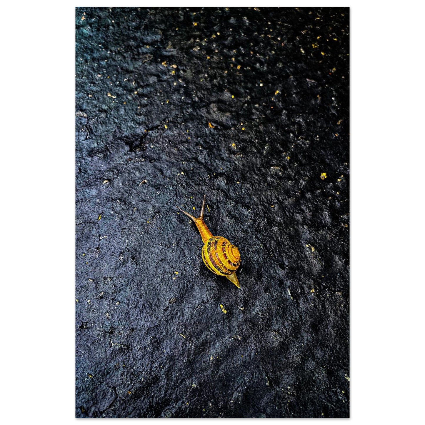 e59f1fe0-d6b8-4330-a442-b141bd3ac2bb