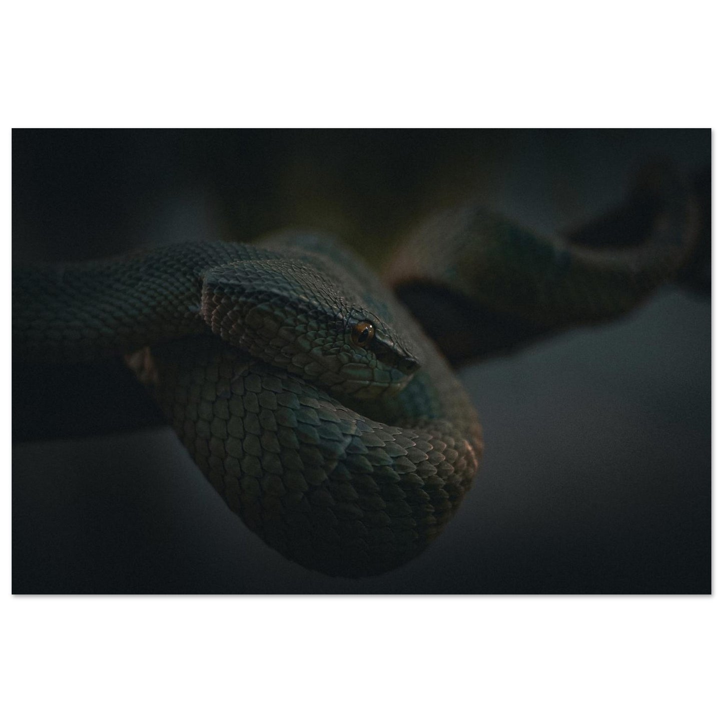 e5f5c416-587a-4c6b-a56a-08c2d3ab8b76