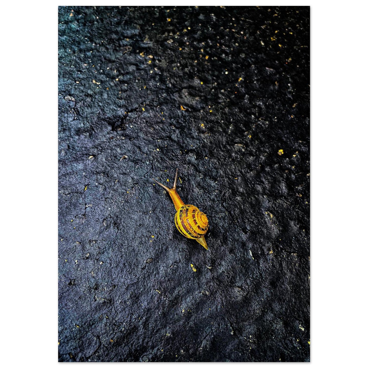 e67b163c-8e9e-4eec-8222-7d1186626046