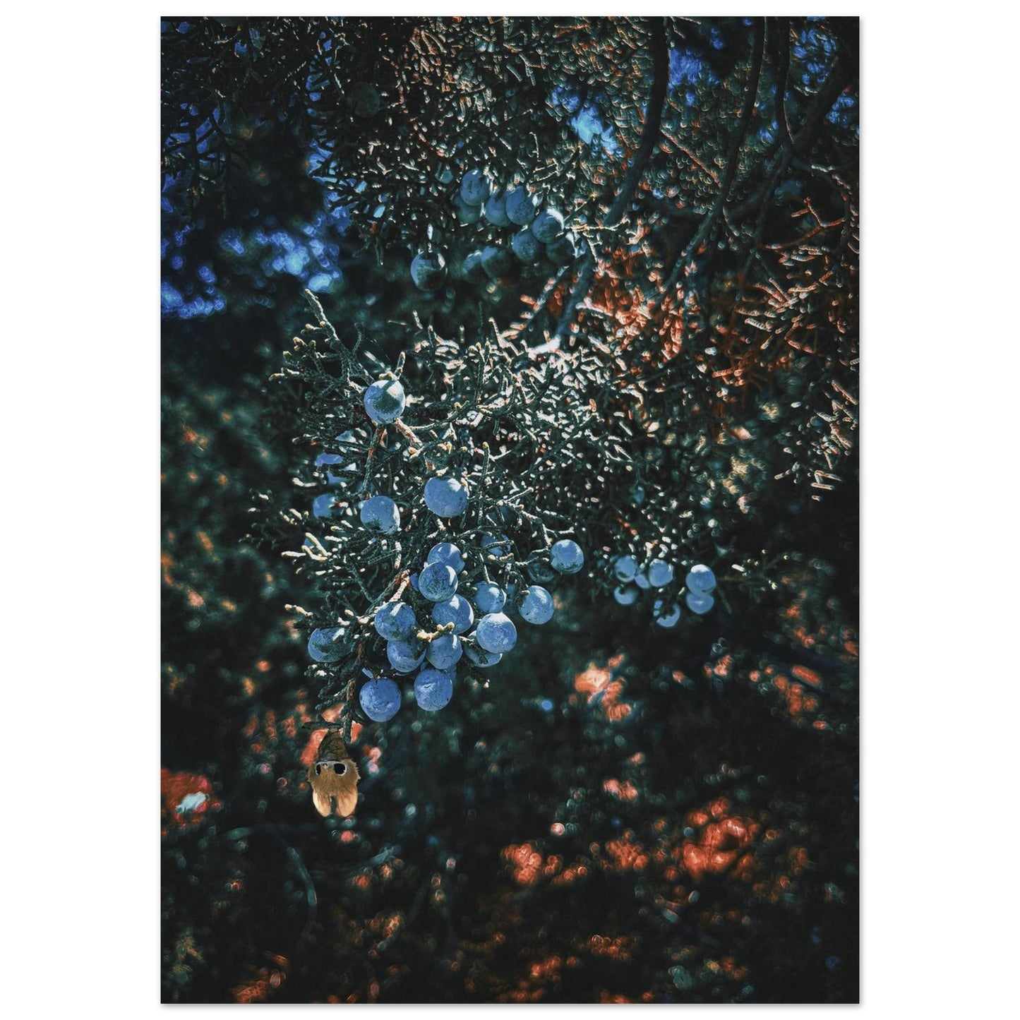 e67edf4c-5ca3-4b9b-88ae-200091df04c5