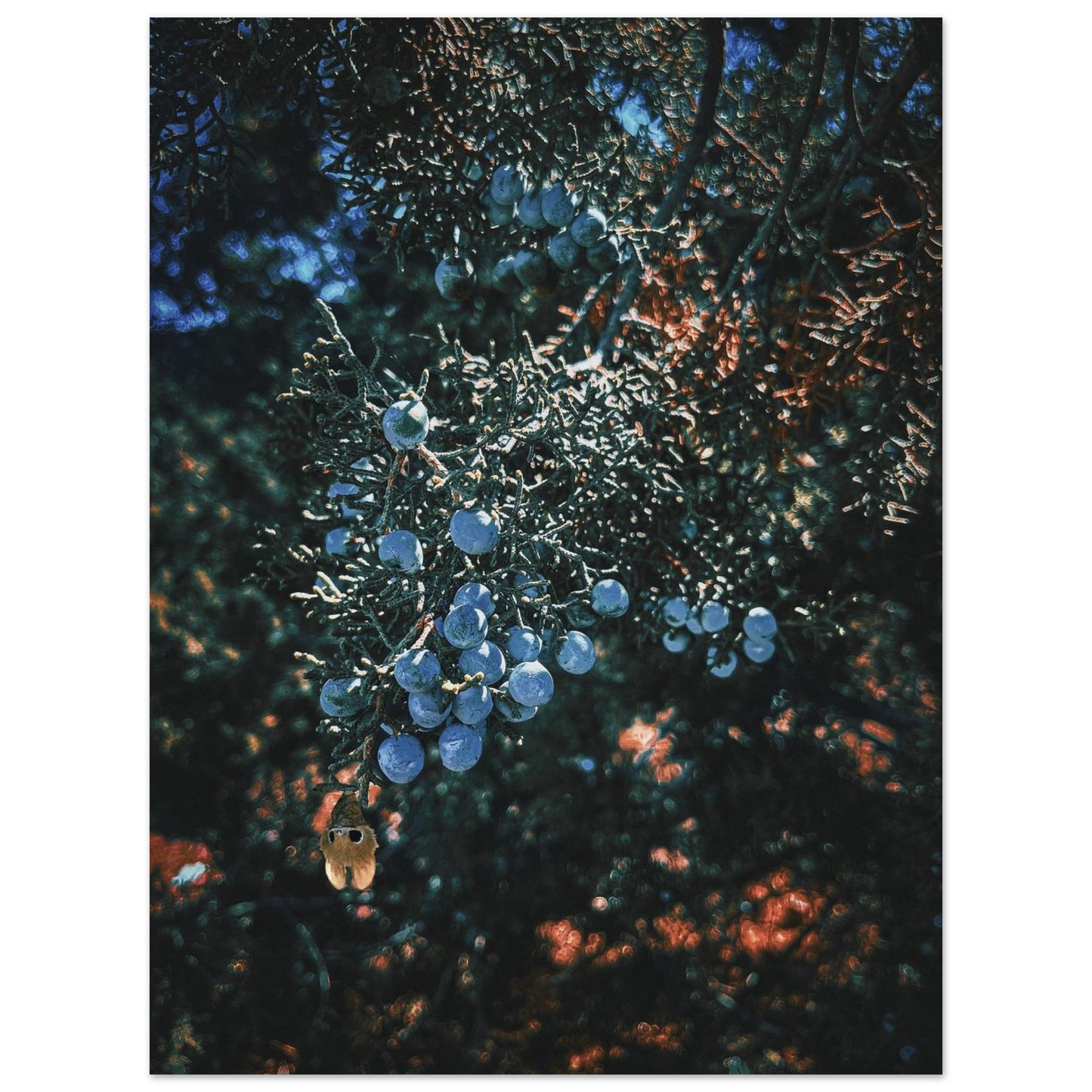 e6b49246-54a5-486e-bd33-0562d63e49da