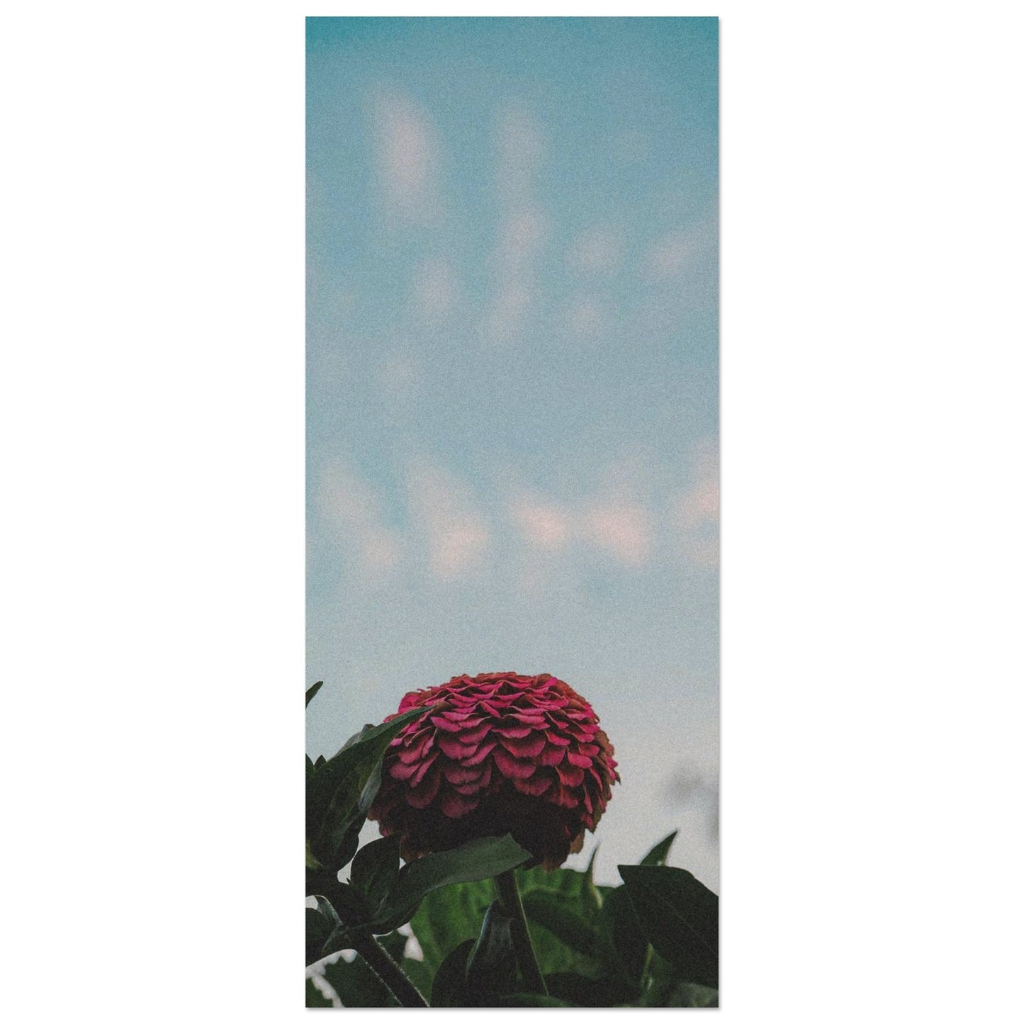 e6fb7c82-0675-4c96-b229-e2197f4c5483