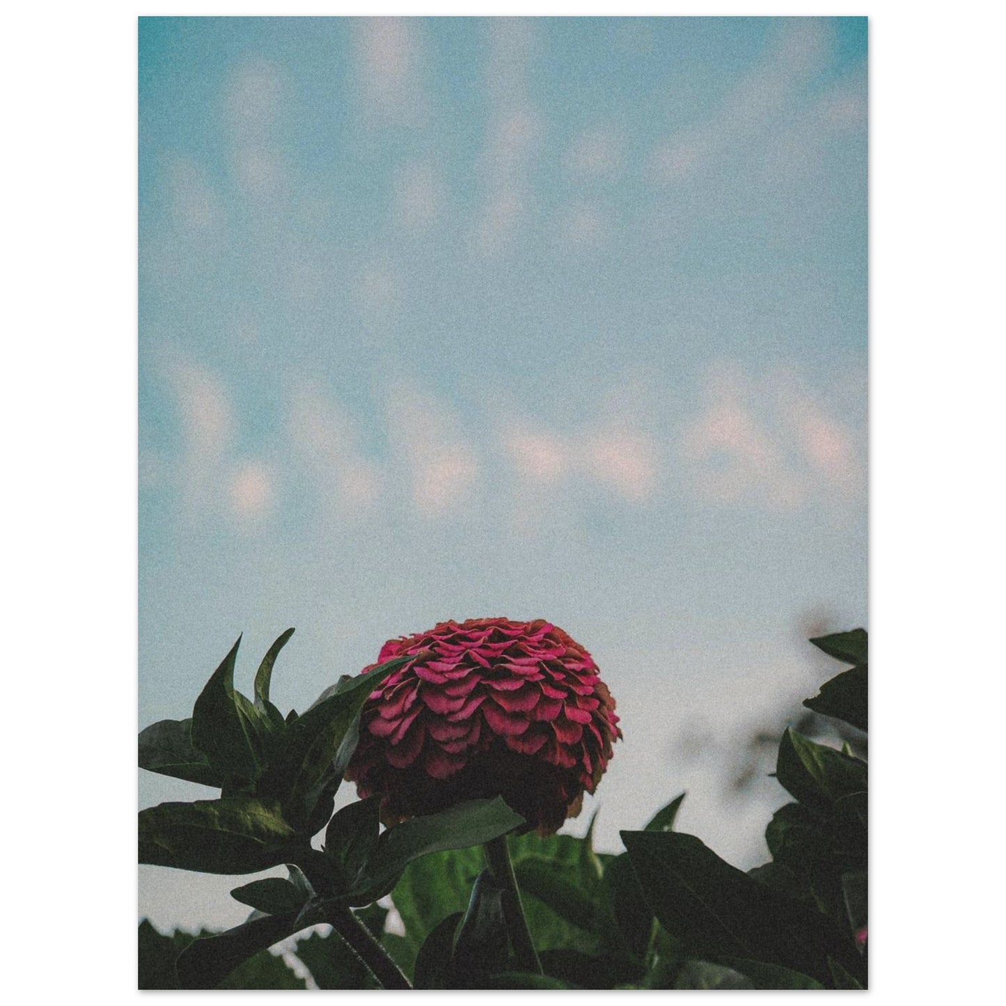 e8330c49-96d3-4792-9026-e46b5966e50a