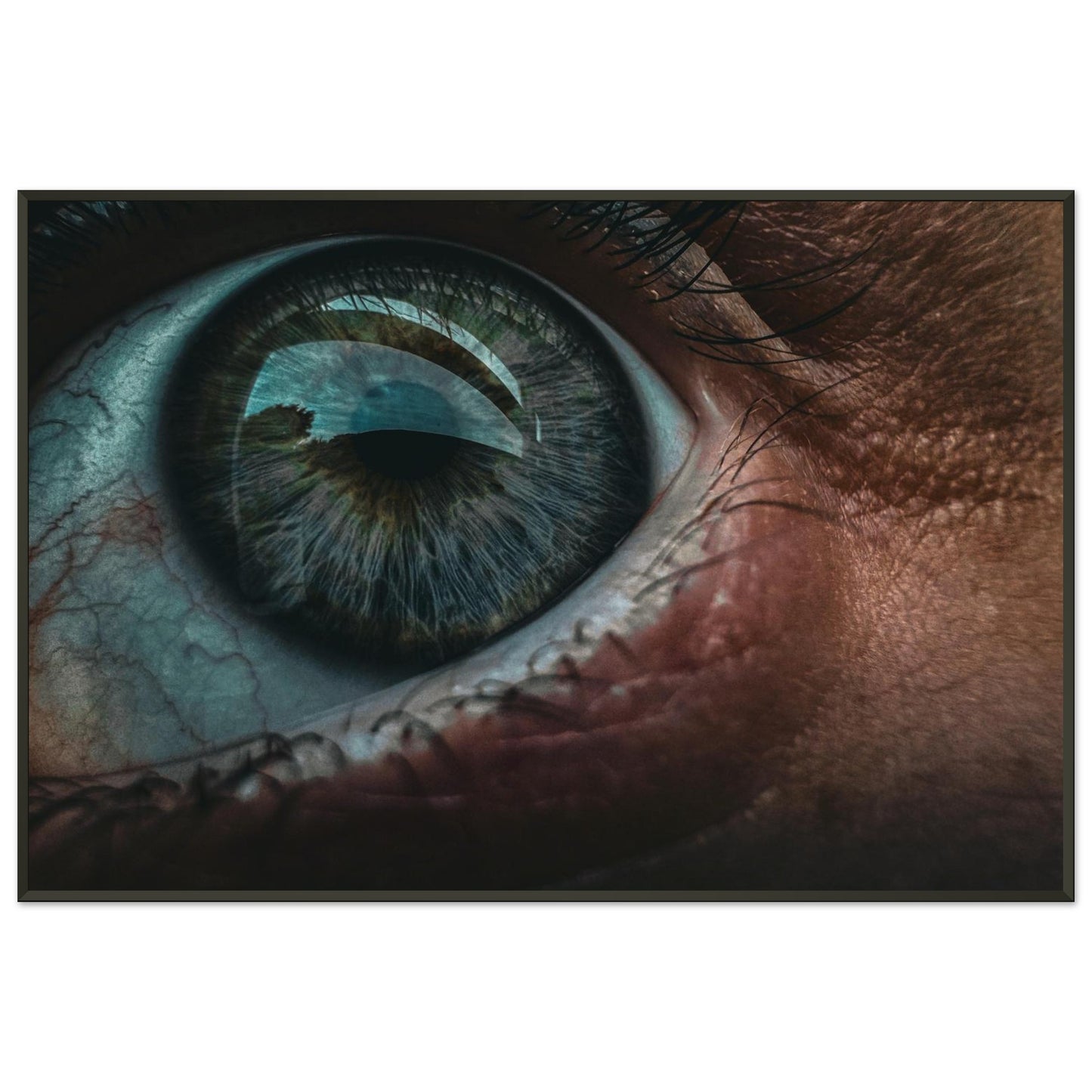 e841f29e-81ea-4b4a-8092-269a72ae5aaa