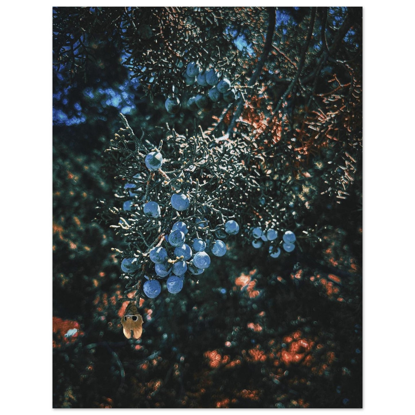 e87cd43e-6703-443e-a4a4-53a2fa9d1ea3