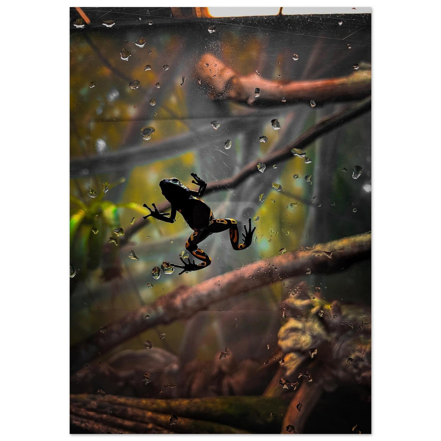 e8885adf-7508-43c8-9f82-c506f7fc0272