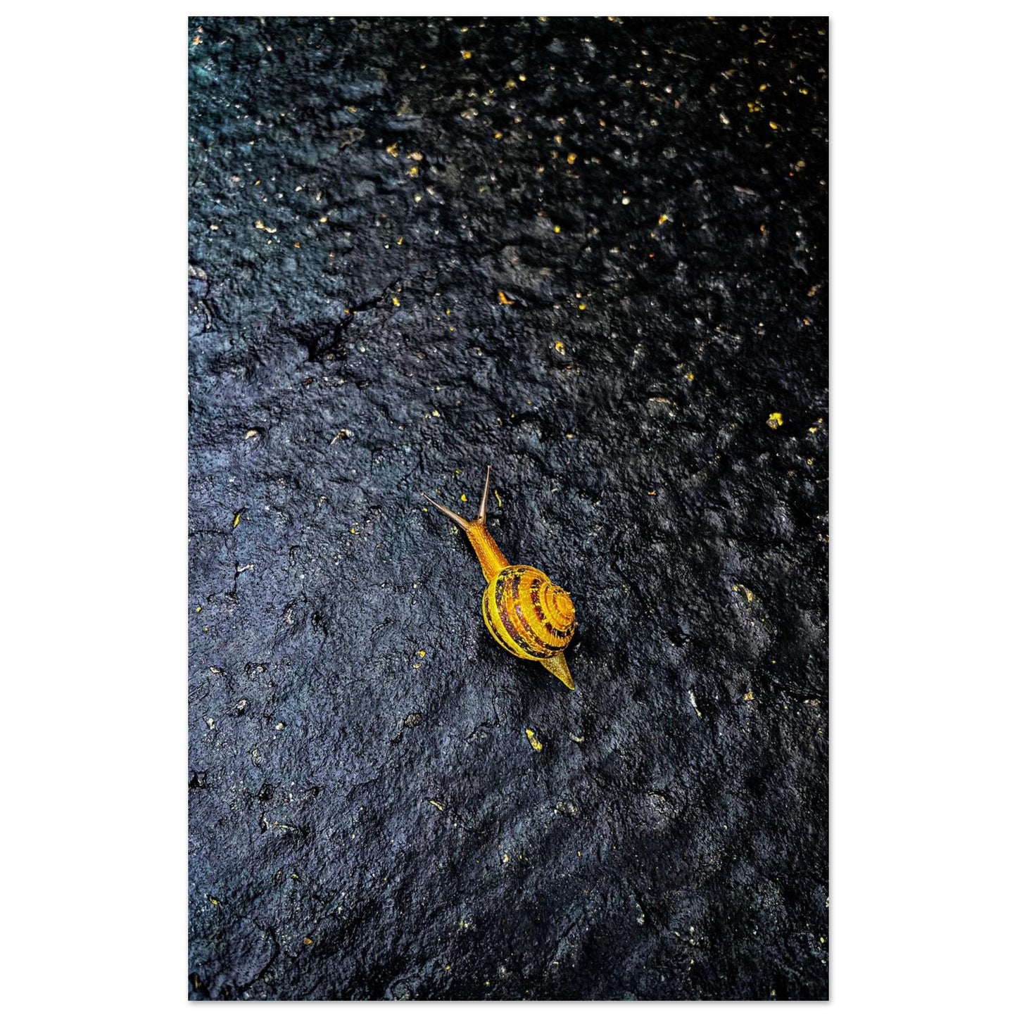 e934bb22-3d50-4af0-a2a5-3e7507e921c8