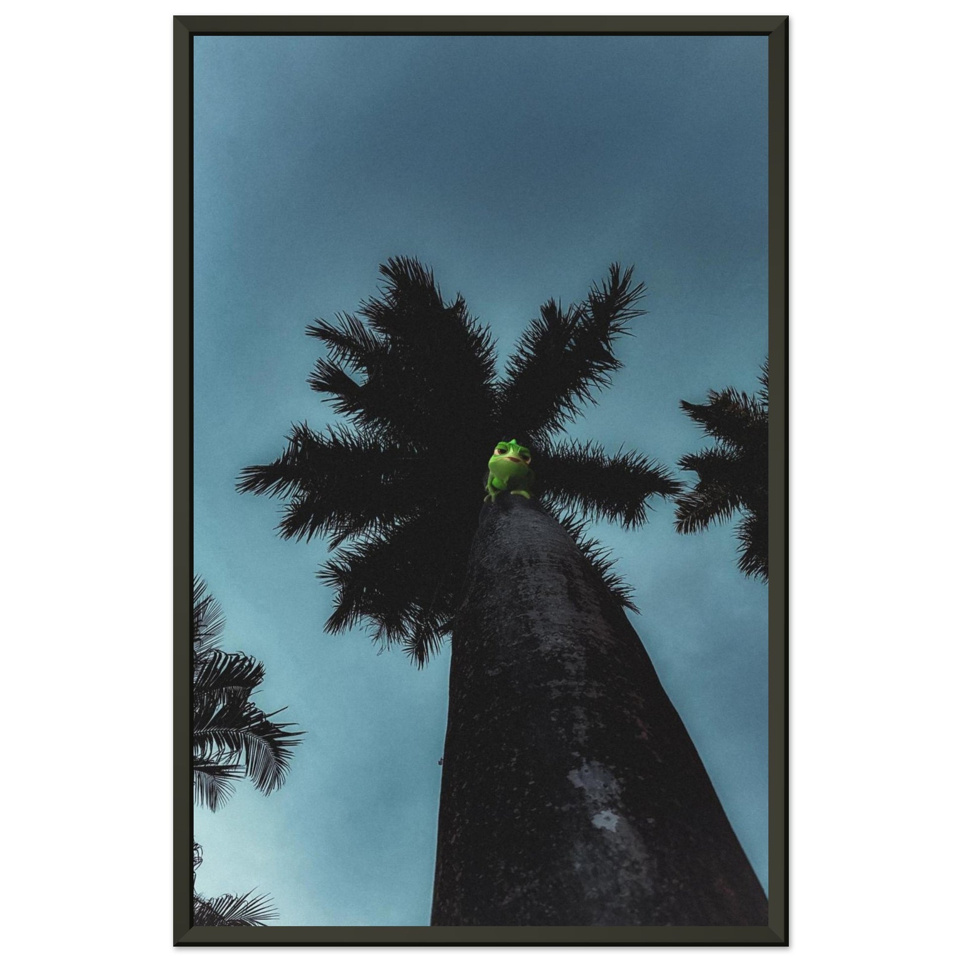 eb74ee0f-1ccc-48c8-8643-44bd9206374b