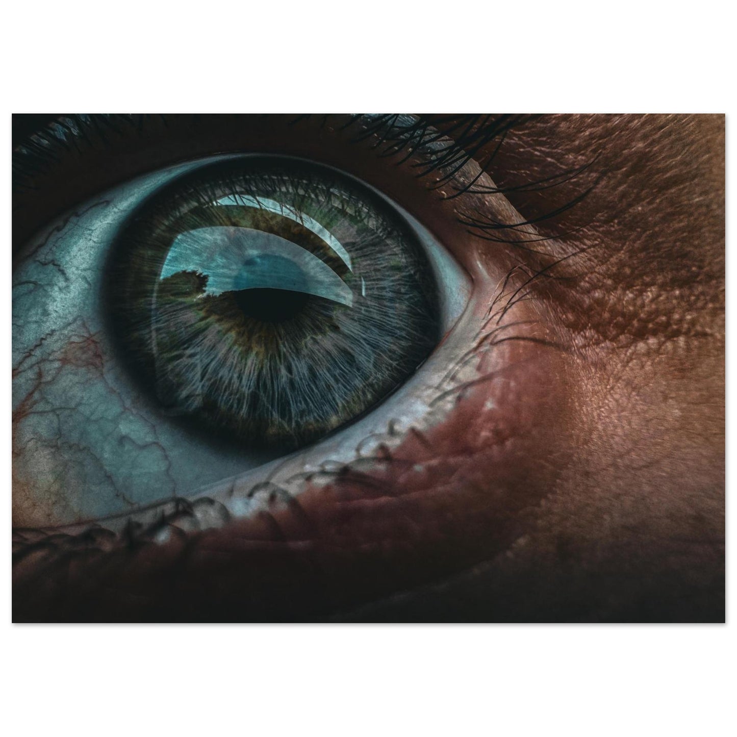 ed899c3b-3f51-4177-9666-3a64e91c57d2