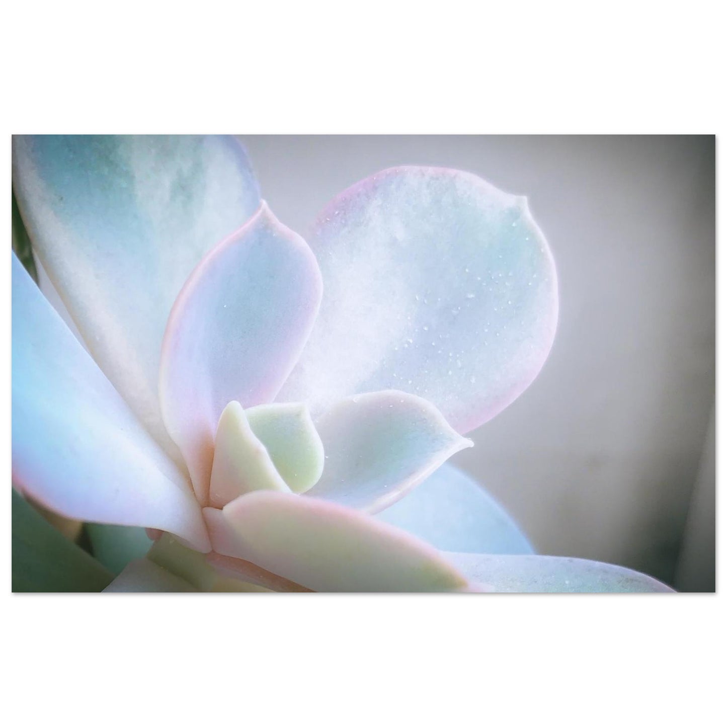 ee0e33a0-2be0-4dca-8505-5a2d53489e41