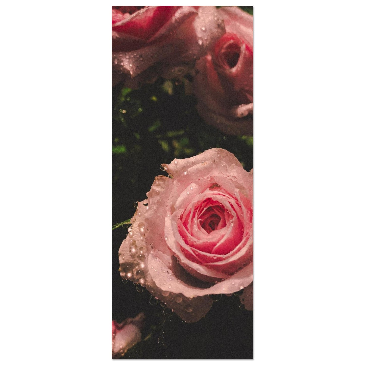 ef0bbcce-6cf8-4f6f-96d4-775af623fd84