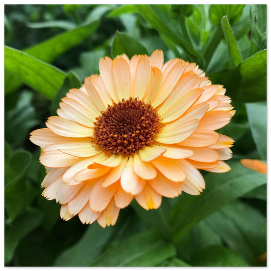 ef0e1313-4dce-4452-b253-d584be2edb7b