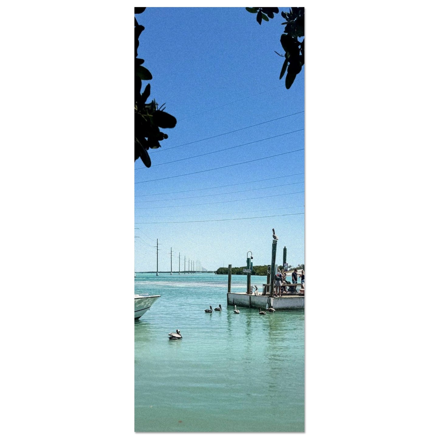 effa384c-8d61-4e3e-be69-4c5dab8d2e72