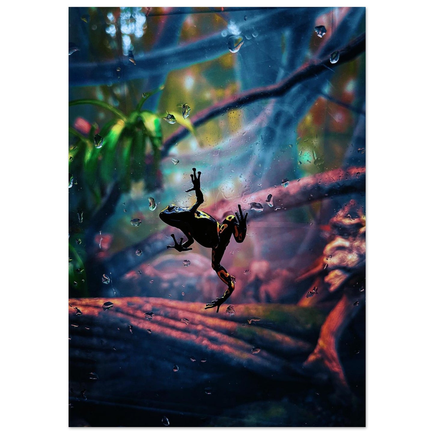 f1103a83-2232-40f5-be84-5938d1f43eda