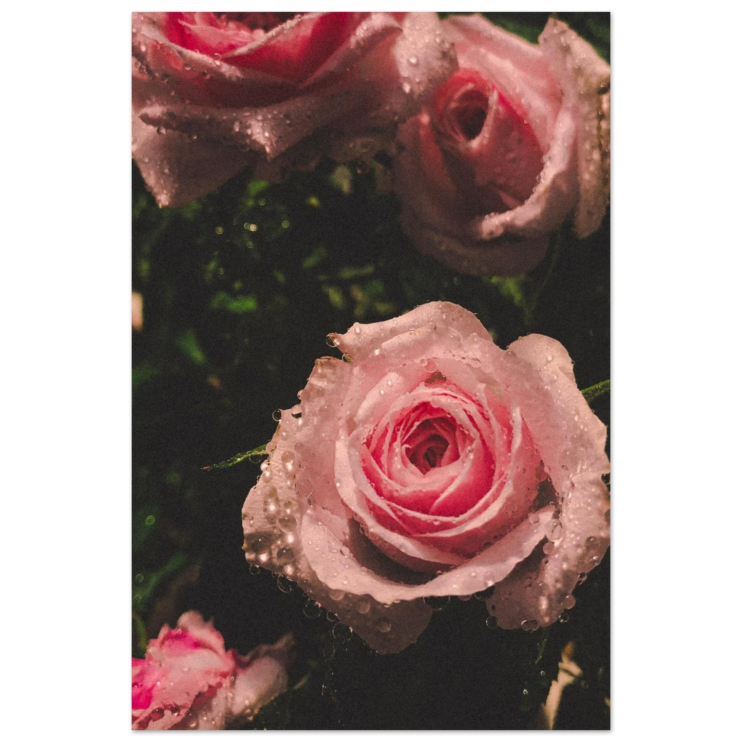 f22f601a-8e49-44d5-a720-07a8eb13d11f