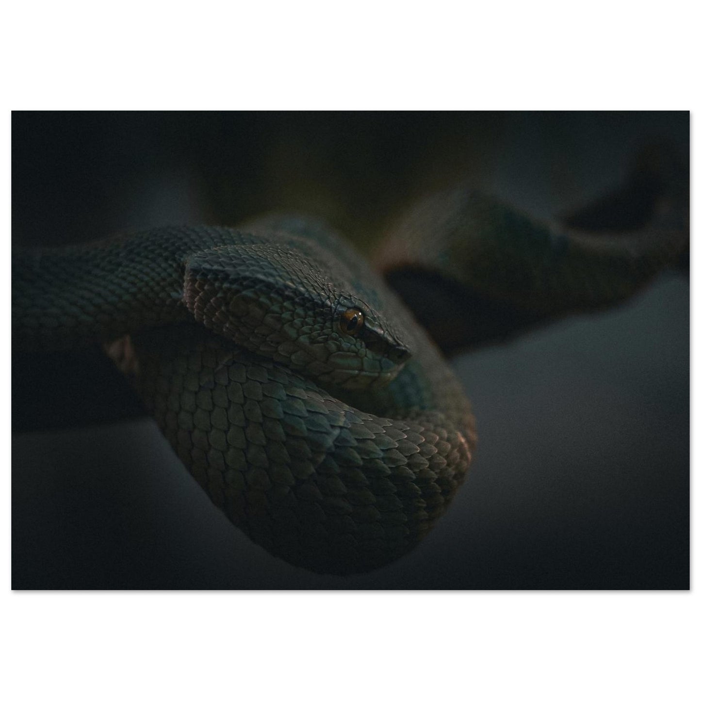 f3dd2b62-a2a7-42c1-b234-a31800921bc6