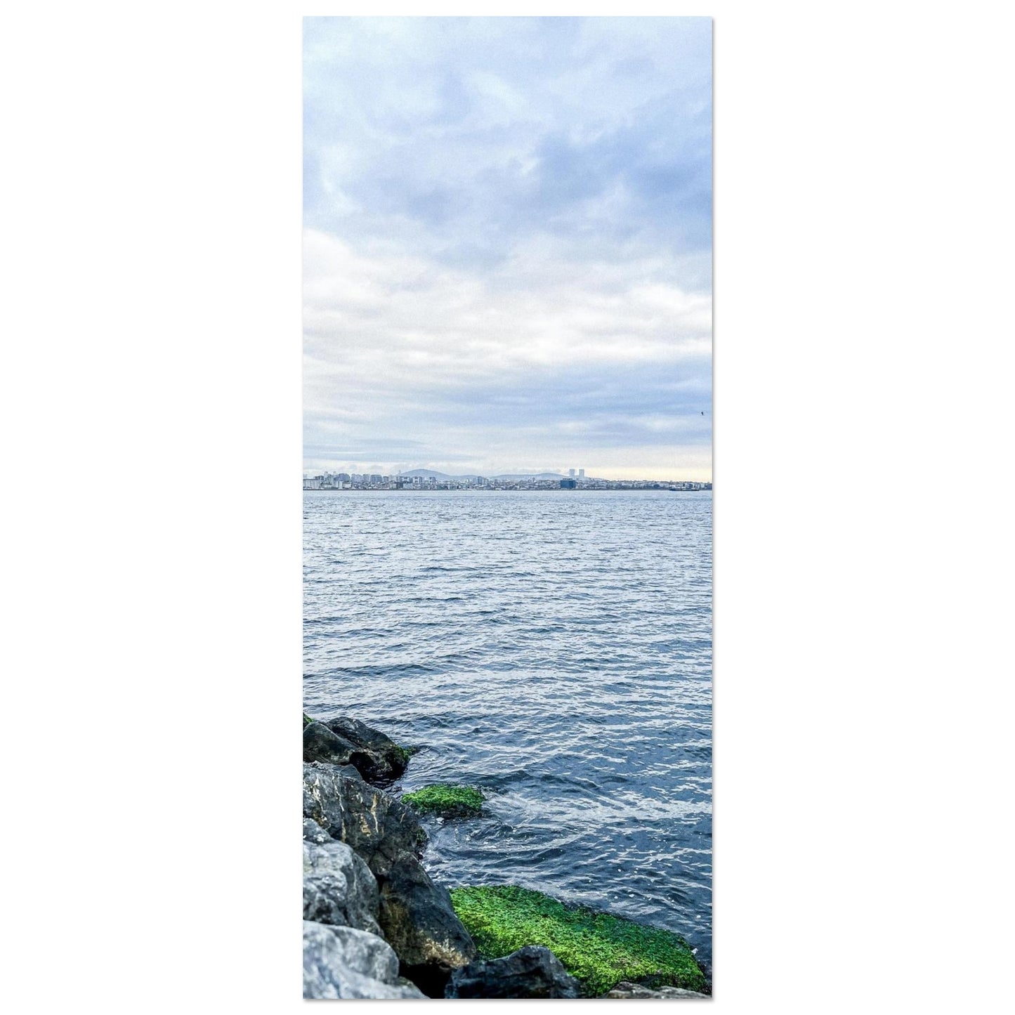 f48b40b4-af69-4976-9a39-b38451d4fa49