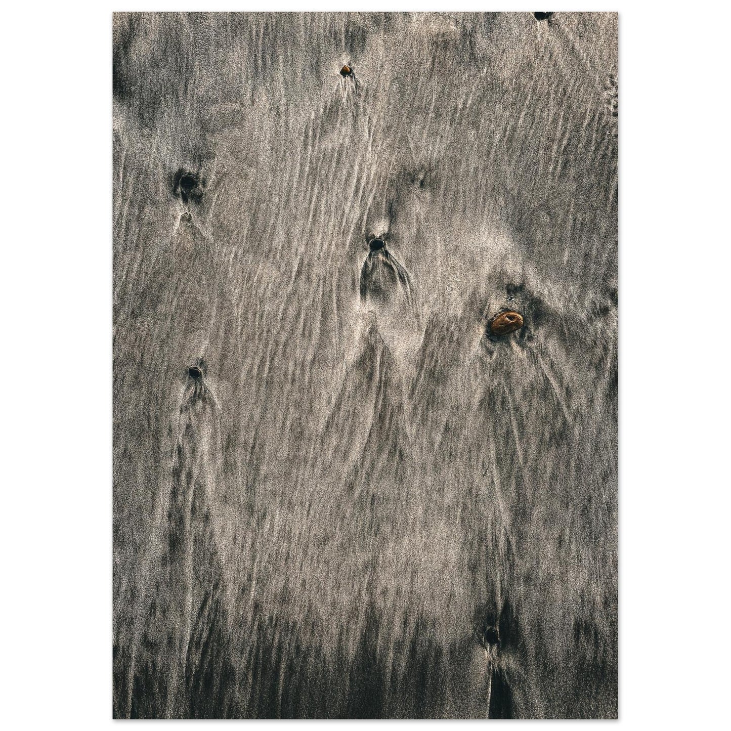 f718fedd-2508-40e1-a849-f96cea76ada1