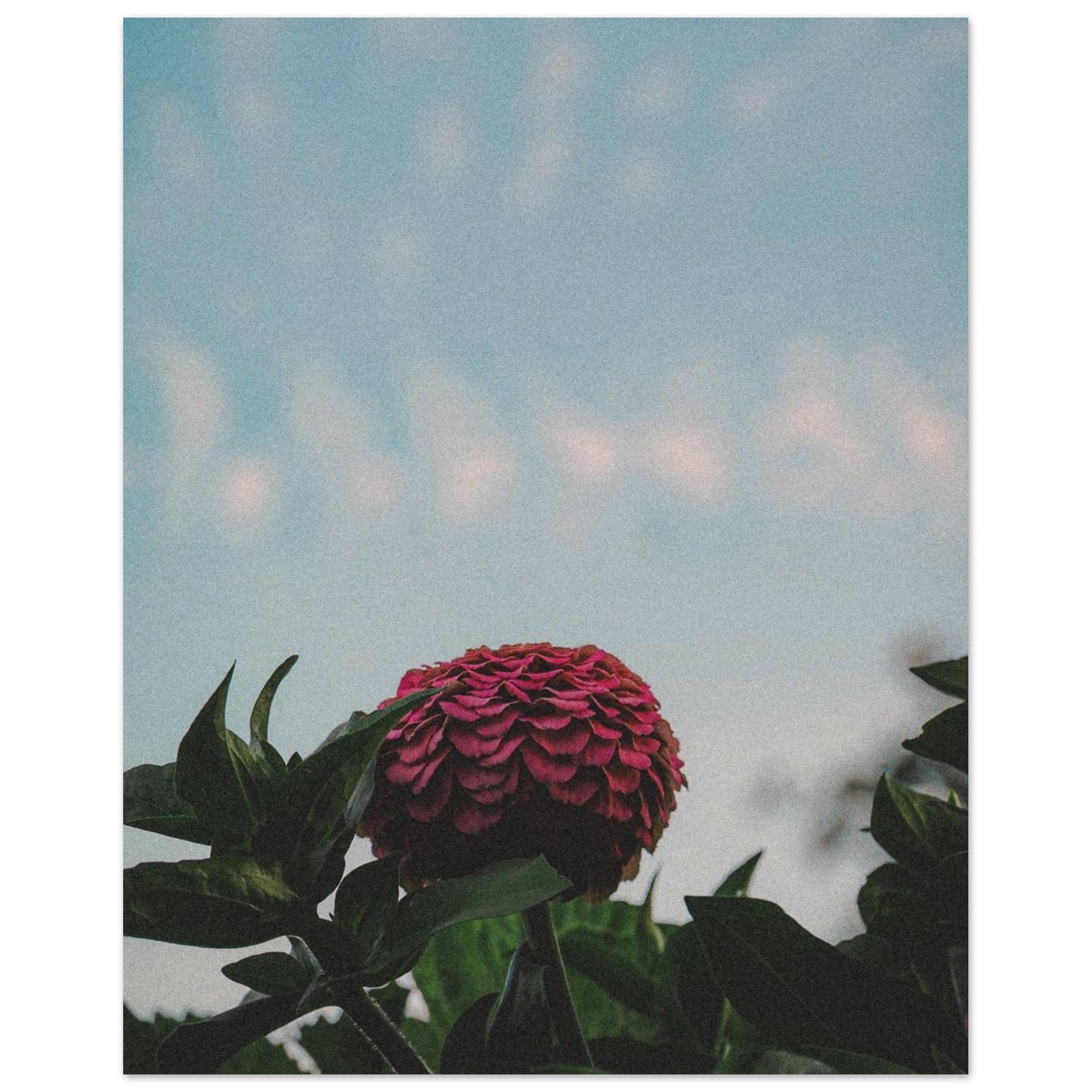 f77fdec3-d4bd-4880-b0de-8106d4c0586c