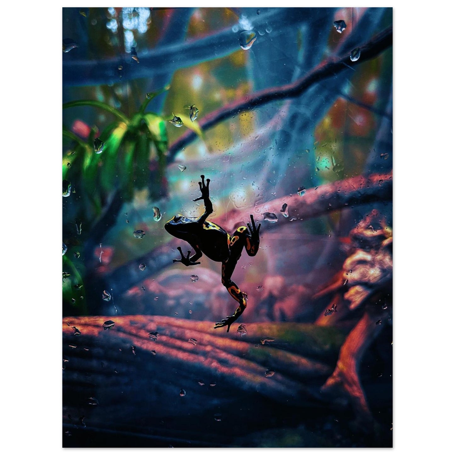 f7c022c9-f27c-47a2-be7f-b444c344b3a9