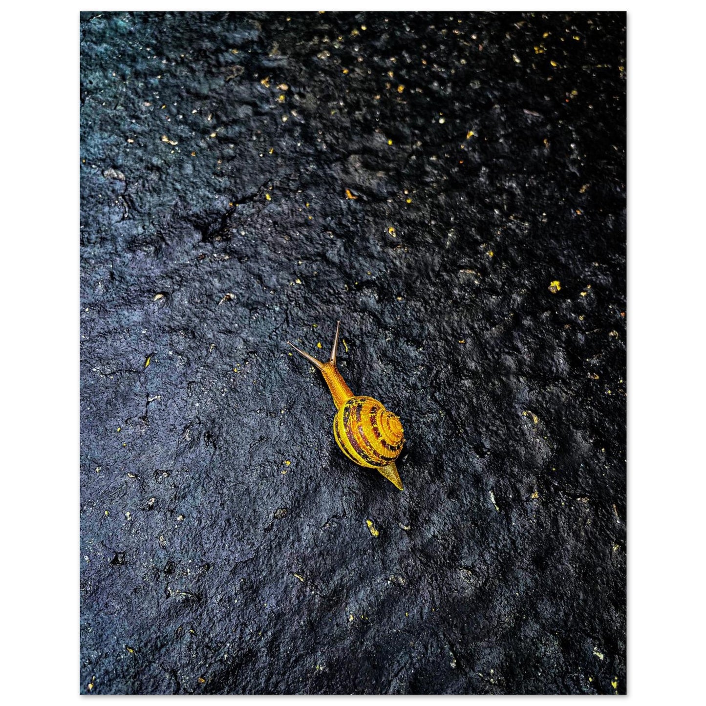 f9449e72-27e9-4bf8-a99a-d905ea584f92