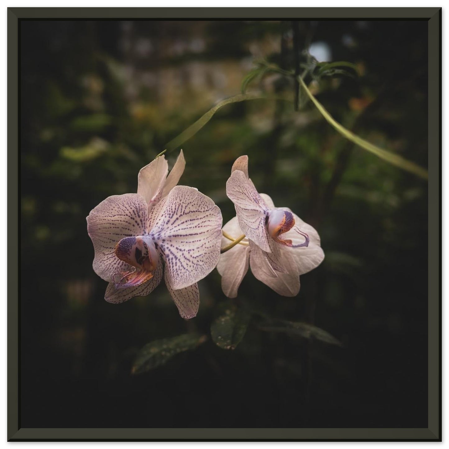 fa373781-7ede-4f6f-9316-90f2f004bc0c