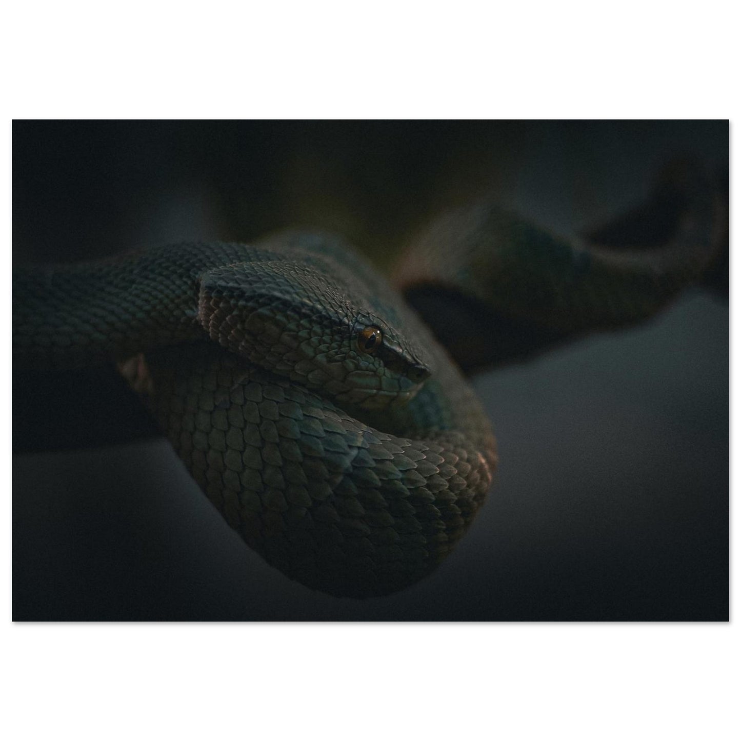 fb8a8ff8-e94b-4018-ae61-6b03be577197