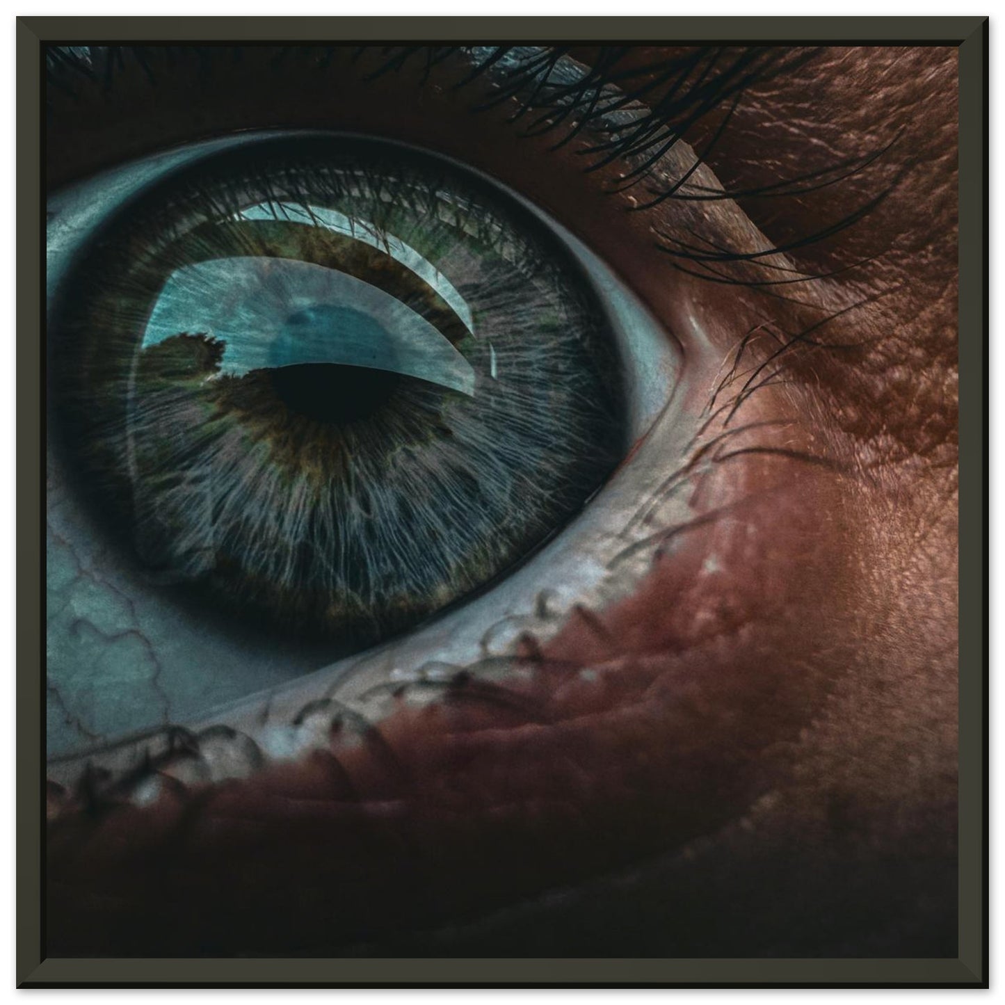 ff1a29ca-6d53-4f04-8a9c-33ee78cb1f35